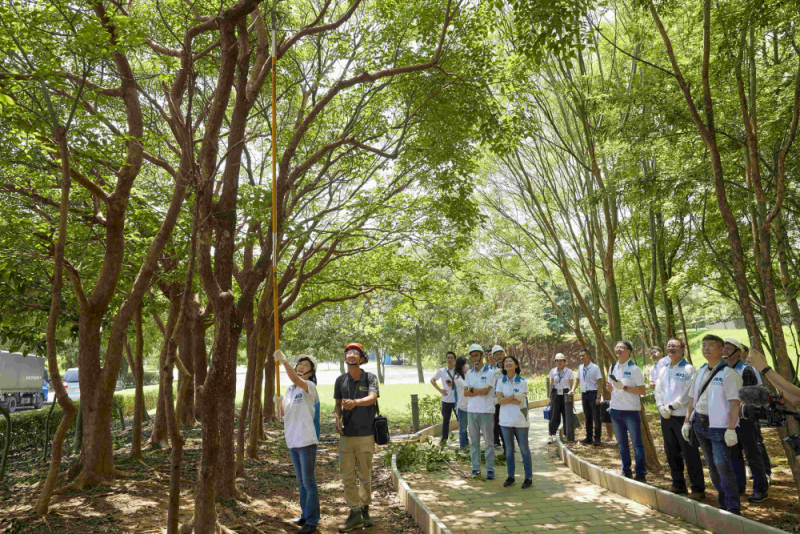 藝師教導(dǎo)大家認(rèn)識(shí)樹木、檢查樹的健康狀況，學(xué)習(xí)修枝及碎枝覆土